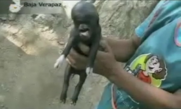 Những[-]sinh[-]vật[-]kỳ[-]dị[-]mang[-]khuôn[-]mặt...[-]"con[-]người"[-]4